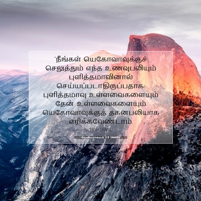 Picture 07 - லேவியராகமம் 2:11 TAMIRV - “நீங்கள் - Bible Verse Picture