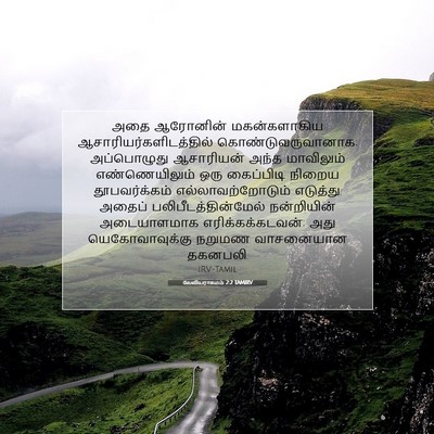 Picture 07 - லேவியராகமம் 2:2 TAMIRV - அதை ஆரோனின் - Bible Verse Picture