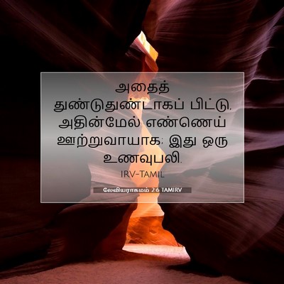 Picture 07 - லேவியராகமம் 2:6 TAMIRV - அதைத் - Bible Verse Picture