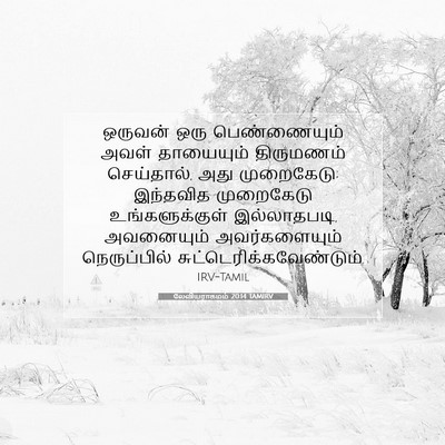 Picture 07 - லேவியராகமம் 20:14 TAMIRV - ஒருவன் ஒரு - Bible Verse Picture