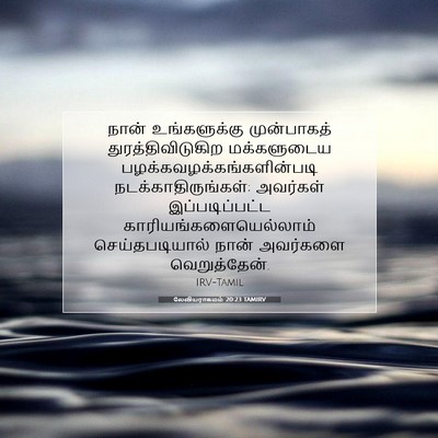 Picture 07 - லேவியராகமம் 20:23 TAMIRV - நான் உங்களுக்கு - Bible Verse Picture