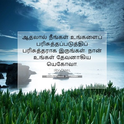 Picture 07 - லேவியராகமம் 20:7 TAMIRV - ஆதலால் நீங்கள் - Bible Verse Picture