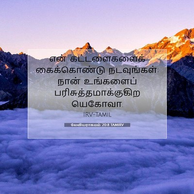 Picture 07 - லேவியராகமம் 20:8 TAMIRV - என் கட்டளைகளைக் - Bible Verse Picture