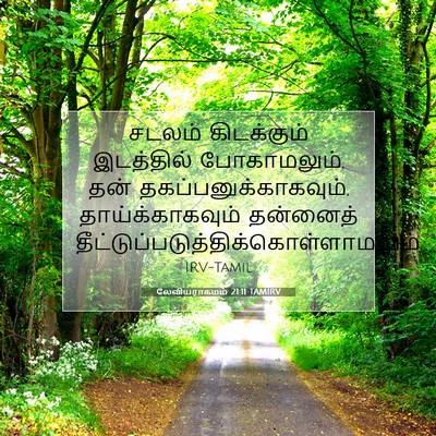 Picture 07 - லேவியராகமம் 21:11 TAMIRV - சடலம் கிடக்கும் - Bible Verse Picture