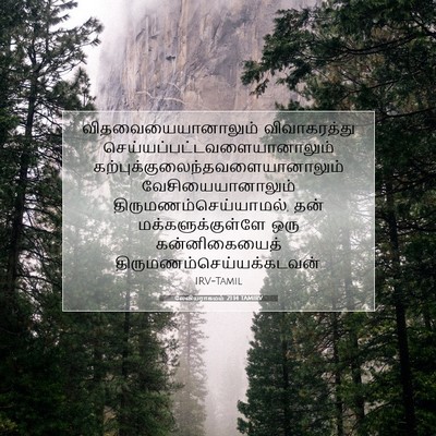 Picture 07 - லேவியராகமம் 21:14 TAMIRV - விதவையையானாலும் - Bible Verse Picture
