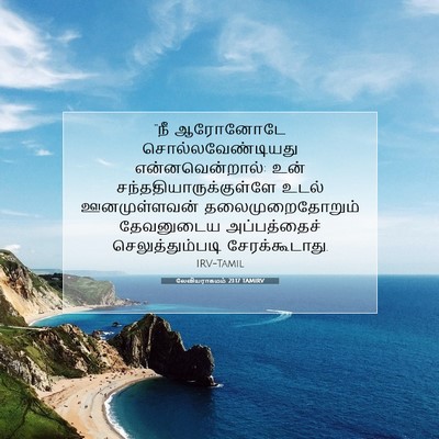 Picture 07 - லேவியராகமம் 21:17 TAMIRV - “நீ ஆரோனோடே - Bible Verse Picture