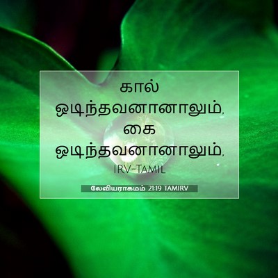 Picture 07 - லேவியராகமம் 21:19 TAMIRV - கால் - Bible Verse Picture