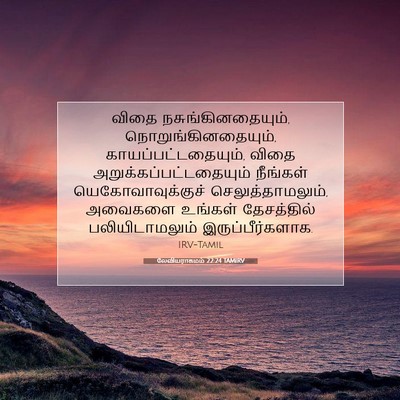 Picture 07 - லேவியராகமம் 22:24 TAMIRV - விதை - Bible Verse Picture