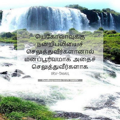 Picture 07 - லேவியராகமம் 22:29 TAMIRV - யெகோவாவுக்கு - Bible Verse Picture