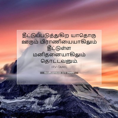 Picture 07 - லேவியராகமம் 22:5 TAMIRV -  - Bible Verse Picture