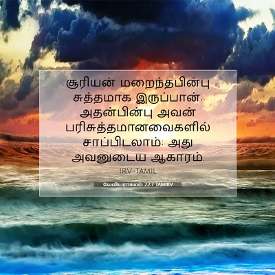 Picture 07 - லேவியராகமம் 22:7 TAMIRV - சூரியன் - Bible Verse Picture