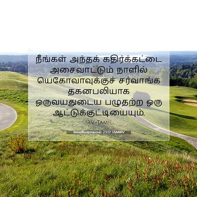 Picture 07 - லேவியராகமம் 23:12 TAMIRV - நீங்கள் அந்தக் - Bible Verse Picture