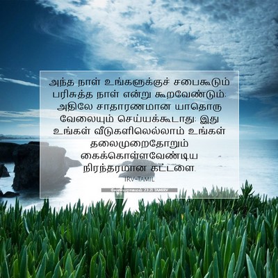 Picture 07 - லேவியராகமம் 23:21 TAMIRV - அந்த நாள் - Bible Verse Picture