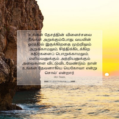 Picture 07 - லேவியராகமம் 23:22 TAMIRV - “உங்கள் தேசத்தின் - Bible Verse Picture