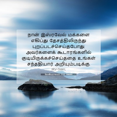 Picture 07 - லேவியராகமம் 23:42 TAMIRV - நான் இஸ்ரவேல் - Bible Verse Picture