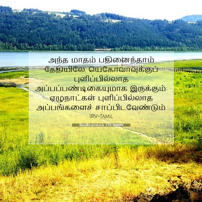 Picture 07 - லேவியராகமம் 23:6 TAMIRV - அந்த மாதம் - Bible Verse Picture