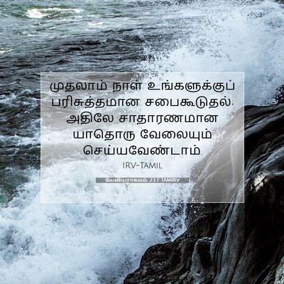 Picture 07 - லேவியராகமம் 23:7 TAMIRV - முதலாம் நாள் - Bible Verse Picture