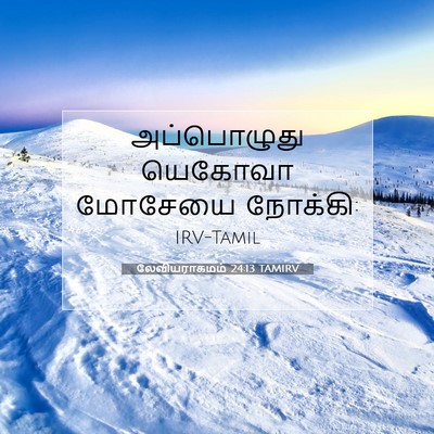Picture 07 - லேவியராகமம் 24:13 TAMIRV - அப்பொழுது யெகோவா - Bible Verse Picture