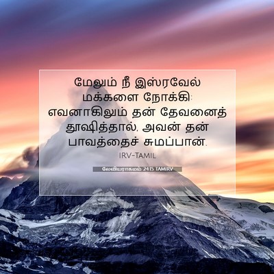Picture 07 - லேவியராகமம் 24:15 TAMIRV - மேலும் நீ - Bible Verse Picture