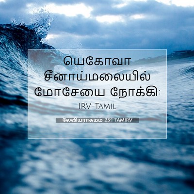 Picture 07 - லேவியராகமம் 25:1 TAMIRV - யெகோவா - Bible Verse Picture