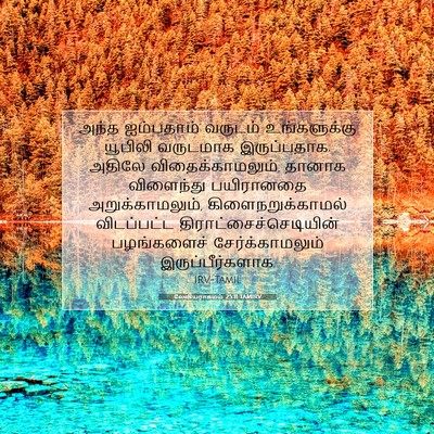 Picture 07 - லேவியராகமம் 25:11 TAMIRV - அந்த ஐம்பதாம் - Bible Verse Picture