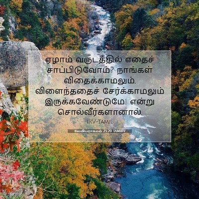 Picture 07 - லேவியராகமம் 25:20 TAMIRV - ஏழாம் வருடத்தில் - Bible Verse Picture
