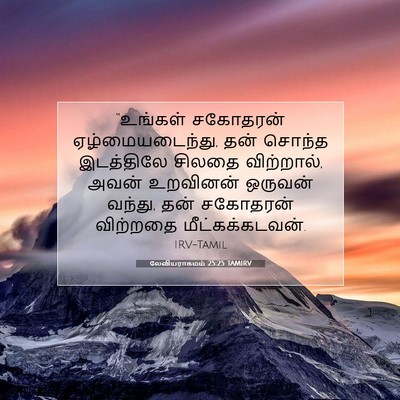 Picture 07 - லேவியராகமம் 25:25 TAMIRV - “உங்கள் சகோதரன் - Bible Verse Picture