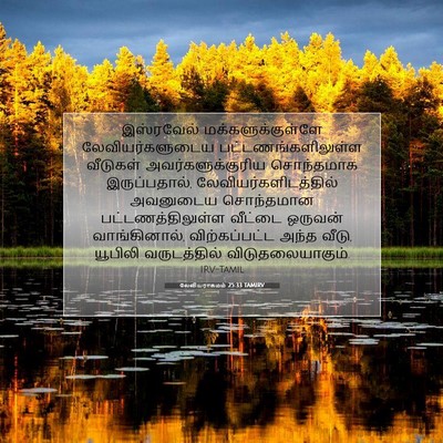 Picture 07 - லேவியராகமம் 25:33 TAMIRV - இஸ்ரவேல் - Bible Verse Picture