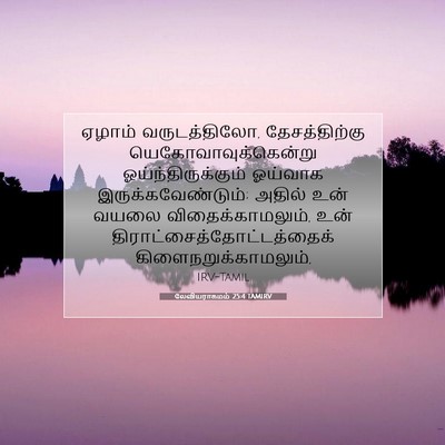Picture 07 - லேவியராகமம் 25:4 TAMIRV - ஏழாம் வருடத்திலோ, - Bible Verse Picture