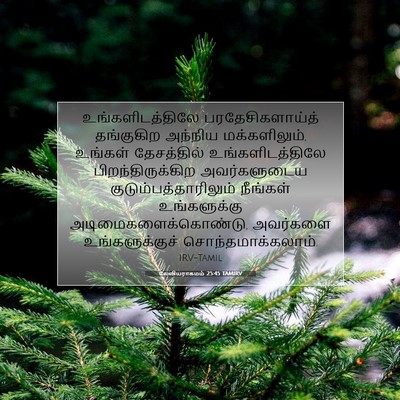 Picture 07 - லேவியராகமம் 25:45 TAMIRV - உங்களிடத்திலே - Bible Verse Picture