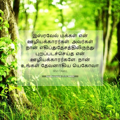 Picture 07 - லேவியராகமம் 25:55 TAMIRV - இஸ்ரவேல் மக்கள் - Bible Verse Picture