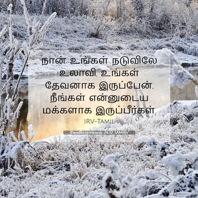 Picture 07 - லேவியராகமம் 26:12 TAMIRV - நான் உங்கள் - Bible Verse Picture