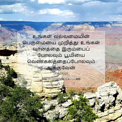 Picture 07 - லேவியராகமம் 26:19 TAMIRV - உங்கள் வல்லமையின் - Bible Verse Picture