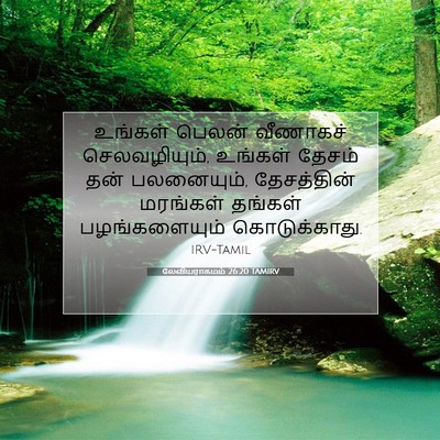 Picture 07 - லேவியராகமம் 26:20 TAMIRV - உங்கள் பெலன் - Bible Verse Picture