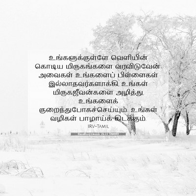 Picture 07 - லேவியராகமம் 26:22 TAMIRV - உங்களுக்குள்ளே - Bible Verse Picture