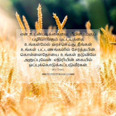 Picture 07 - லேவியராகமம் 26:25 TAMIRV - என் உடன்படிக்கையை - Bible Verse Picture