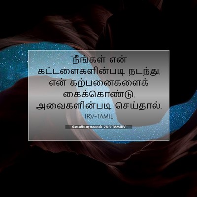 Picture 07 - லேவியராகமம் 26:3 TAMIRV - “நீங்கள் என் - Bible Verse Picture