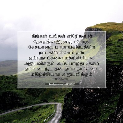 Picture 07 - லேவியராகமம் 26:34 TAMIRV - “நீங்கள் உங்கள் - Bible Verse Picture