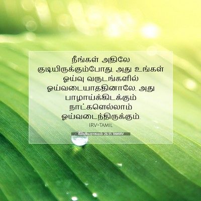 Picture 07 - லேவியராகமம் 26:35 TAMIRV - நீங்கள் அதிலே - Bible Verse Picture