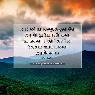 Picture 07 - லேவியராகமம் 26:38 TAMIRV -  - Bible Verse Picture