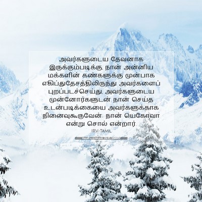 Picture 07 - லேவியராகமம் 26:45 TAMIRV - அவர்களுடைய தேவனாக - Bible Verse Picture