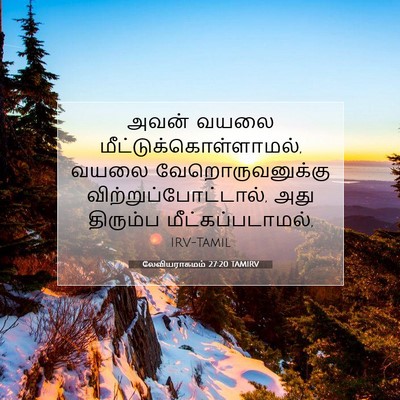Picture 07 - லேவியராகமம் 27:20 TAMIRV - அவன் வயலை - Bible Verse Picture