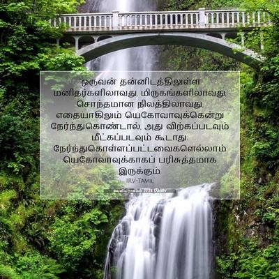 Picture 07 - லேவியராகமம் 27:28 TAMIRV - “ஒருவன் - Bible Verse Picture