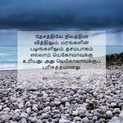 Picture 07 - லேவியராகமம் 27:30 TAMIRV - “தேசத்திலே - Bible Verse Picture