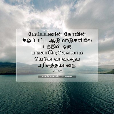 Picture 07 - லேவியராகமம் 27:32 TAMIRV - மேய்ப்பனின் - Bible Verse Picture