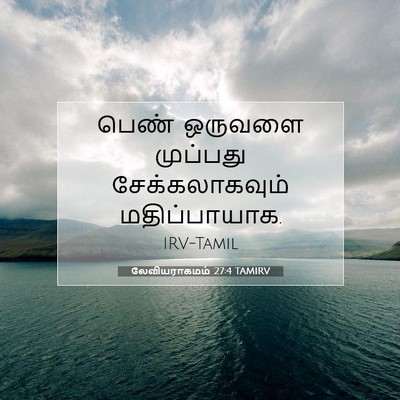 Picture 07 - லேவியராகமம் 27:4 TAMIRV - பெண் ஒருவளை - Bible Verse Picture