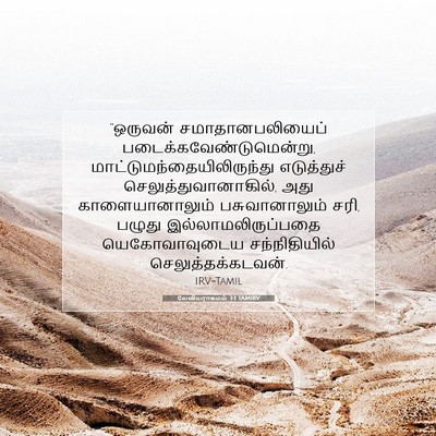 Picture 07 - லேவியராகமம் 3:1 TAMIRV - “ஒருவன் - Bible Verse Picture
