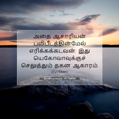 Picture 07 - லேவியராகமம் 3:11 TAMIRV - அதை ஆசாரியன் - Bible Verse Picture