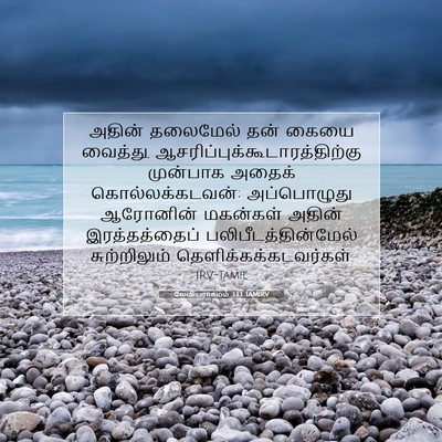 Picture 07 - லேவியராகமம் 3:13 TAMIRV - அதின் தலைமேல் தன் - Bible Verse Picture