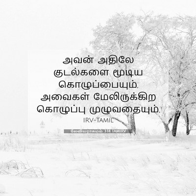 Picture 07 - லேவியராகமம் 3:14 TAMIRV - அவன் அதிலே - Bible Verse Picture